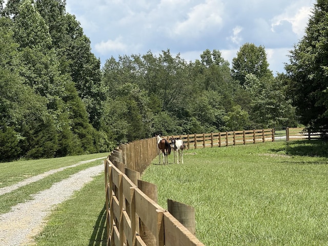 5988 Fly Hollow Rd, Santa Fe, TN 38482 - photo 14