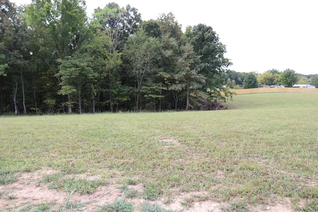 5988 Fly Hollow Rd, Santa Fe, TN 38482 - photo 29