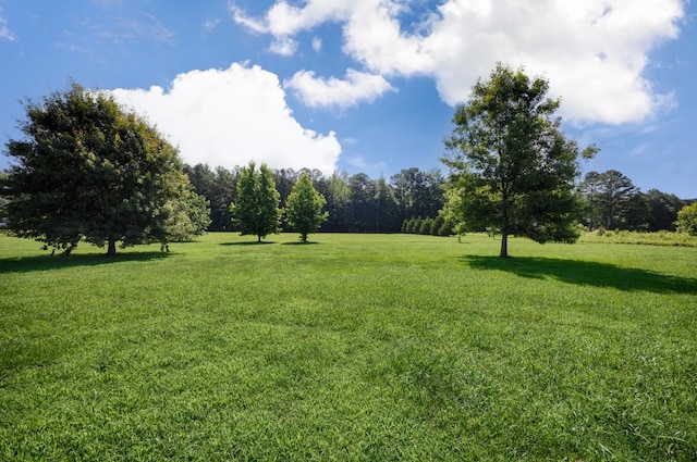 20408 Myers Rd, Athens, AL 35614 - photo 37