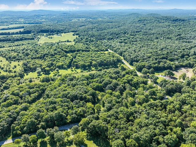 8524 Taliaferro Rd, Eagleville, TN 37060