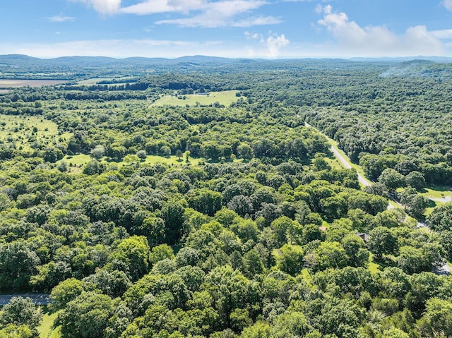 8524 Taliaferro Rd, Eagleville, TN 37060