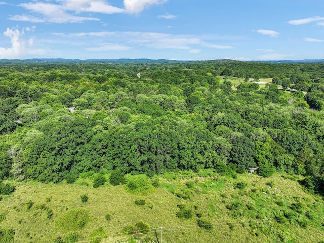 8524 Taliaferro Rd, Eagleville, TN 37060