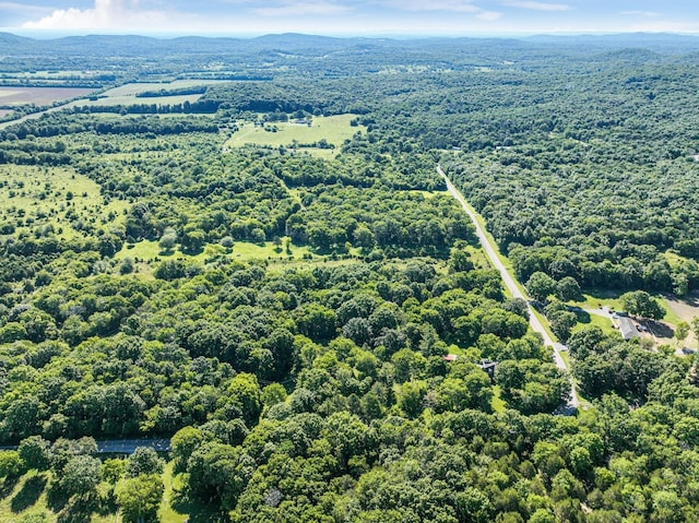 8524 Taliaferro Rd, Eagleville, TN 37060