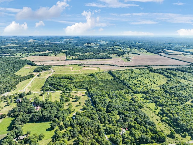 8524 Taliaferro Rd, Eagleville, TN 37060