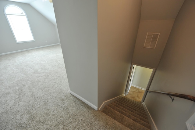 104 Camden Ct N, Hendersonville, TN 37075 - photo 17