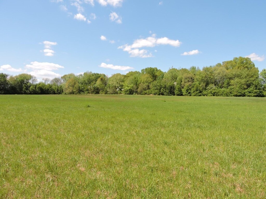 0 Lynchburg Rd, Winchester, TN 37398 - photo 4