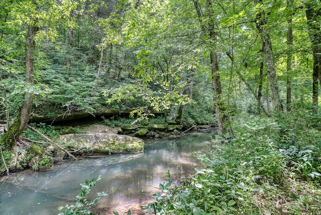 1901 Rickman Rd, Livingston, TN 38570 - view of wooded area
