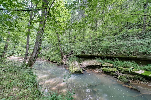 1901 Rickman Rd, Livingston, TN 38570 - view of tree filled area