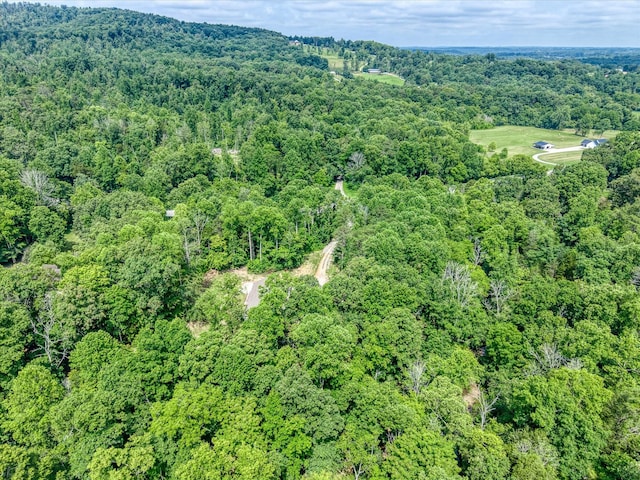 1901 Rickman Rd, Livingston, TN 38570 - aerial view of property's location featuring a forest