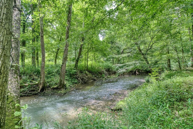 1901 Rickman Rd, Livingston, TN 38570 - view of local wilderness