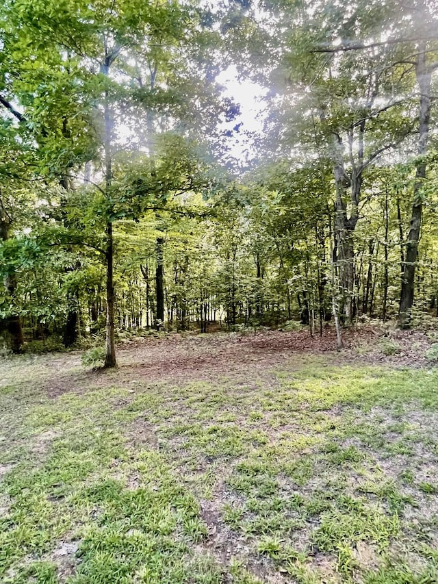 311 Maple Springs Ln, Lawrenceburg, TN 38464