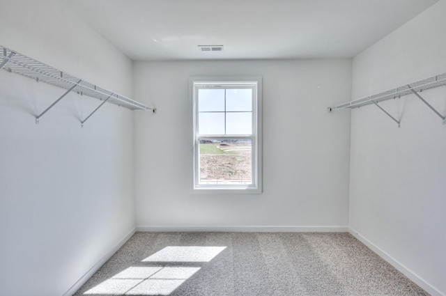 2584 Kai Dr, Murfreesboro, TN 37129 - photo 31