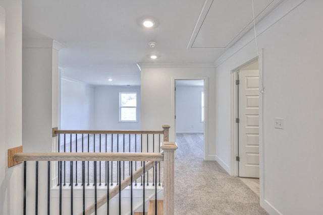 2584 Kai Dr, Murfreesboro, TN 37129 - photo 4