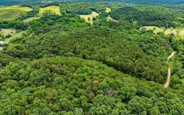 0 Pine Hill Rd SE, Rydal, GA 30171