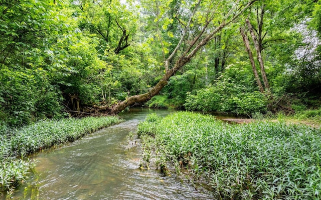 0 Pine Hill Rd SE, Rydal, GA 30171