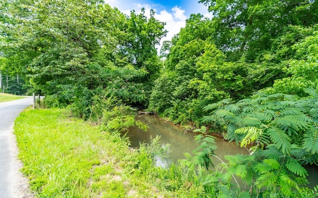 0 Pine Hill Rd SE, Rydal, GA 30171