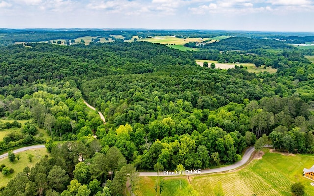 0 Pine Hill Rd SE, Rydal, GA 30171