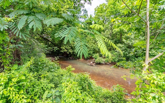 0 Pine Hill Rd SE, Rydal, GA 30171