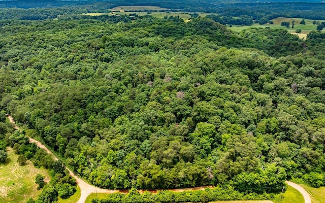 0 Pine Hill Rd SE, Rydal, GA 30171