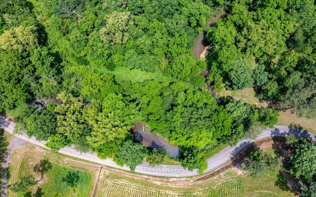 0 Pine Hill Rd SE, Rydal, GA 30171