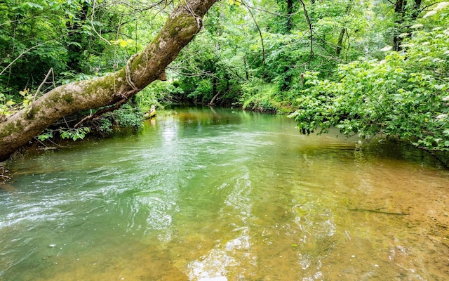 0 Pine Hill Rd SE, Rydal, GA 30171