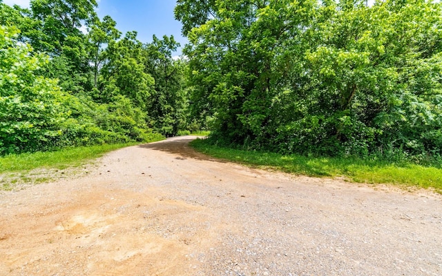 0 Pine Hill Rd SE, Rydal, GA 30171