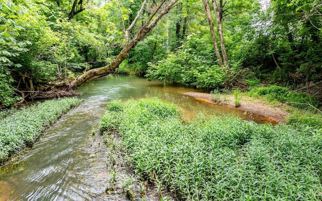 0 Pine Hill Rd SE, Rydal, GA 30171