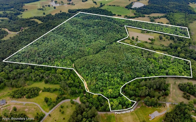 0 Pine Hill Rd SE, Rydal, GA 30171