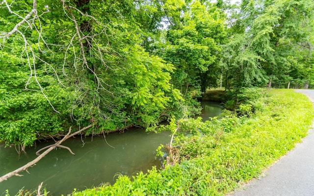 0 Pine Hill Rd SE, Rydal, GA 30171