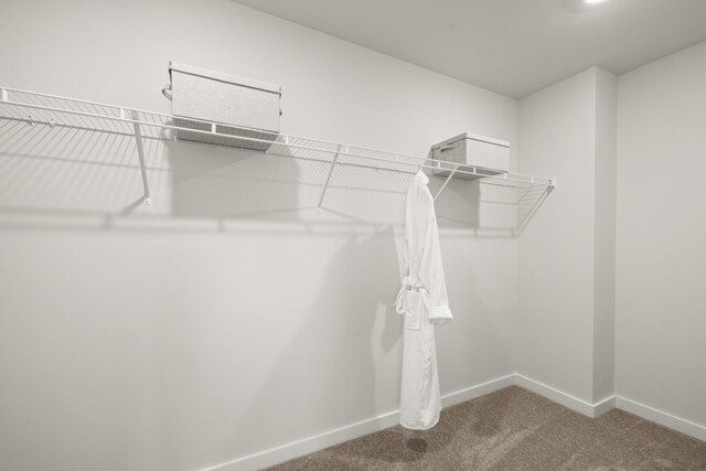 3423 Shigo St, Murfreesboro, TN 37130 - photo 55