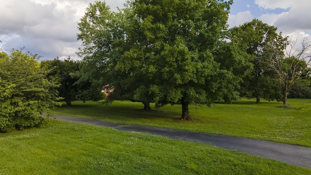 0 Pitts Ln, Murfreesboro, TN 37130 - photo 17