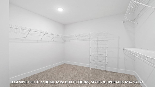1620 Collins View Way, Clarksville, TN 37043 - photo 22