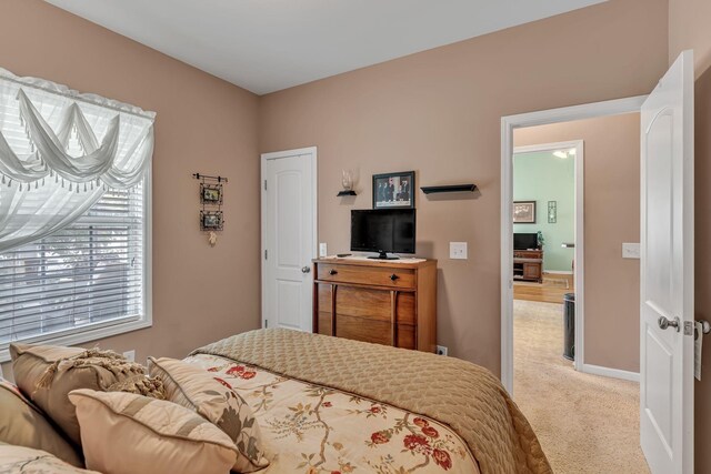 1008 Graceland Way, Greenbrier, TN 37073 - photo 21
