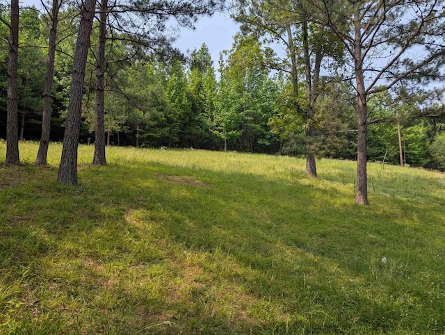 304 Fox Hollow Rd, Goodspring, TN 38460 - view of yard with a wooded view