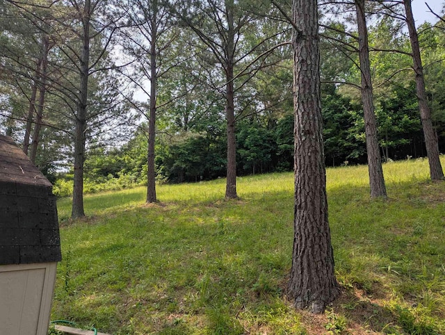 304 Fox Hollow Rd, Goodspring, TN 38460 - view of grassy yard