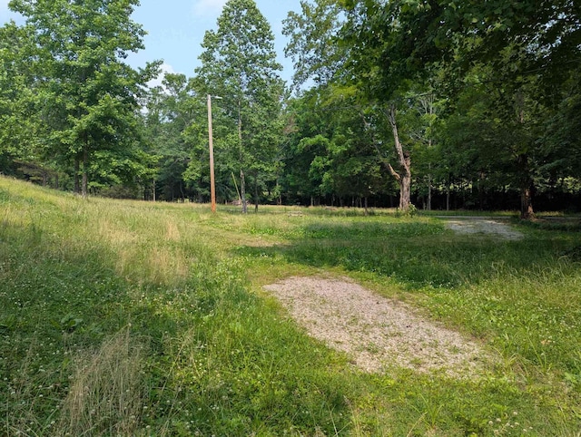 304 Fox Hollow Rd, Goodspring, TN 38460 - view of yard featuring a wooded view
