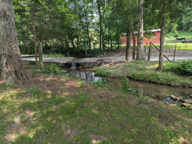 304 Fox Hollow Rd, Goodspring, TN 38460 - view of yard