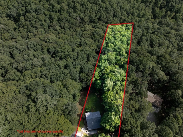 165 Kangaroo Ridge Rd, Byrdstown, TN 38549 - aerial view of property's location featuring a heavily wooded area and property parcel outlined