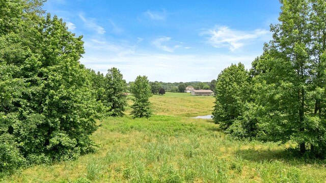 3612 Hartsville Pike, Castalian Springs, TN 37031 - photo 51