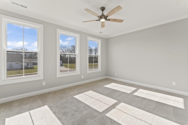 1361 Rebecca Johns Dr, Murfreesboro, TN 37128 - photo 21