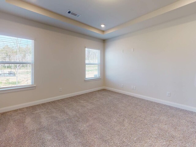 1334 Beasley Blvd, Mount Juliet, TN 37122 - unfurnished room with healthy amount of natural light, carpet, a raised ceiling, and recessed lighting