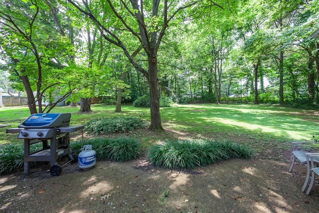 484 E Main St, Alamo, TN 38001 - photo 10