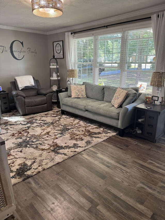 1304 Ellington Dr, Lafayette, TN 37083 - living area featuring crown molding and wood finished floors
