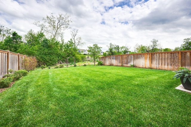 141 Foxhall Dr, Spring Hill, TN 37174 - view of fenced backyard