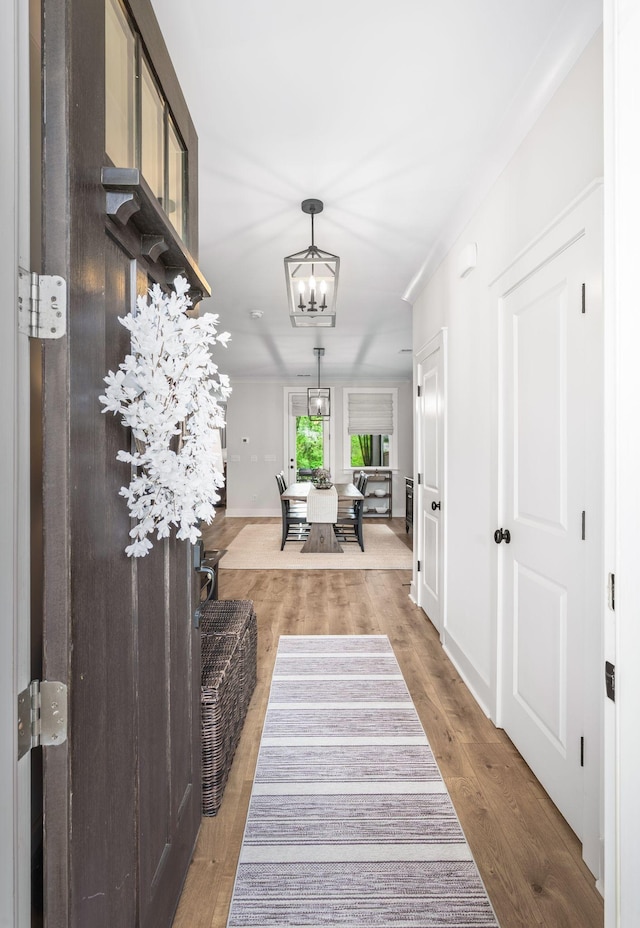 141 Foxhall Dr, Spring Hill, TN 37174 - corridor featuring a chandelier and wood finished floors