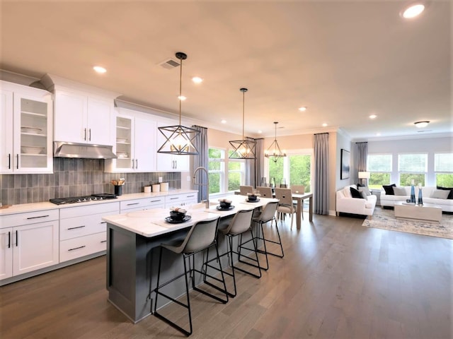 1332 Beasley Blvd, Mount Juliet, TN 37122 - kitchen with under cabinet range hood, a breakfast bar, a kitchen island with sink, tasteful backsplash, and white cabinetry