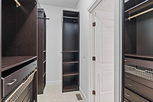 1005 Brittain Downs Dr, Nolensville, TN 37135 - view of spacious closet