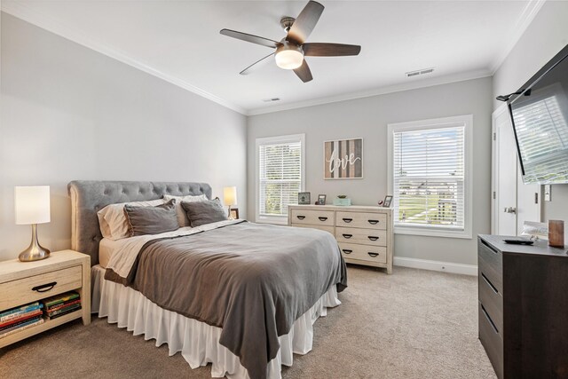 1917 Judson Johns Ct, Murfreesboro, TN 37128 - photo 17