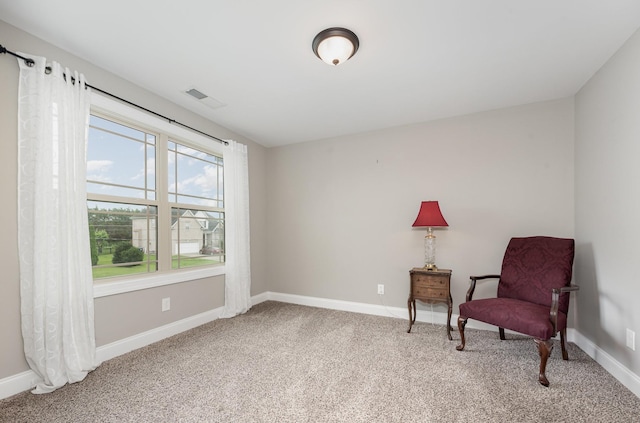 205 Bonifay Dr, Smyrna, TN 37167 - photo 22
