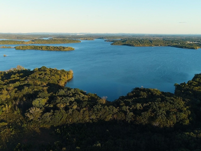 1331 Beasley Blvd, Mount Juliet, TN 37122 - water view with a forest